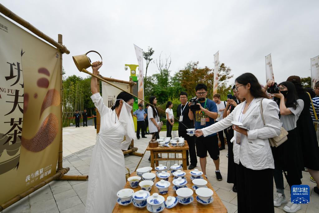 团团棋牌官网下载